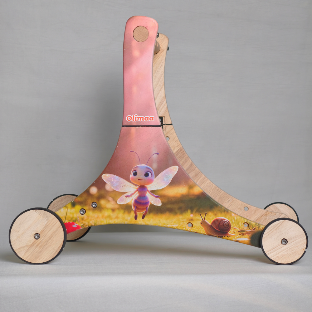 Push scooter